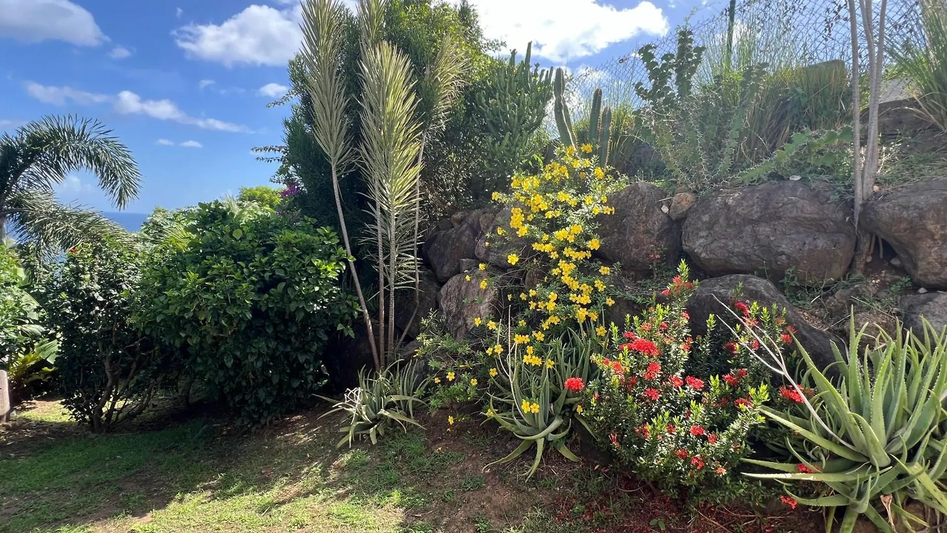 Villa 4 Etoiles Le Roc De Malendure Bouillante Guadeloupe